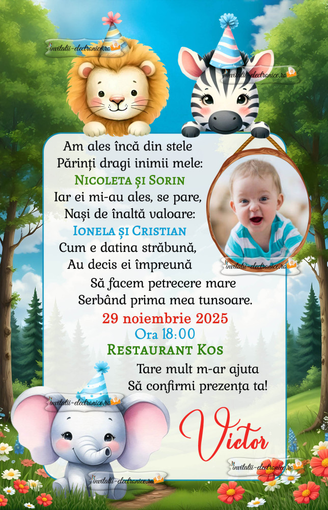 Invitatie la aniversare cu animale