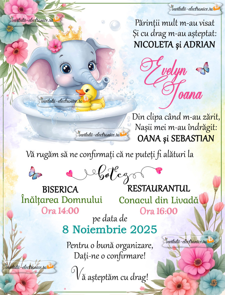 Invitatie de botez digitala cu elefantel