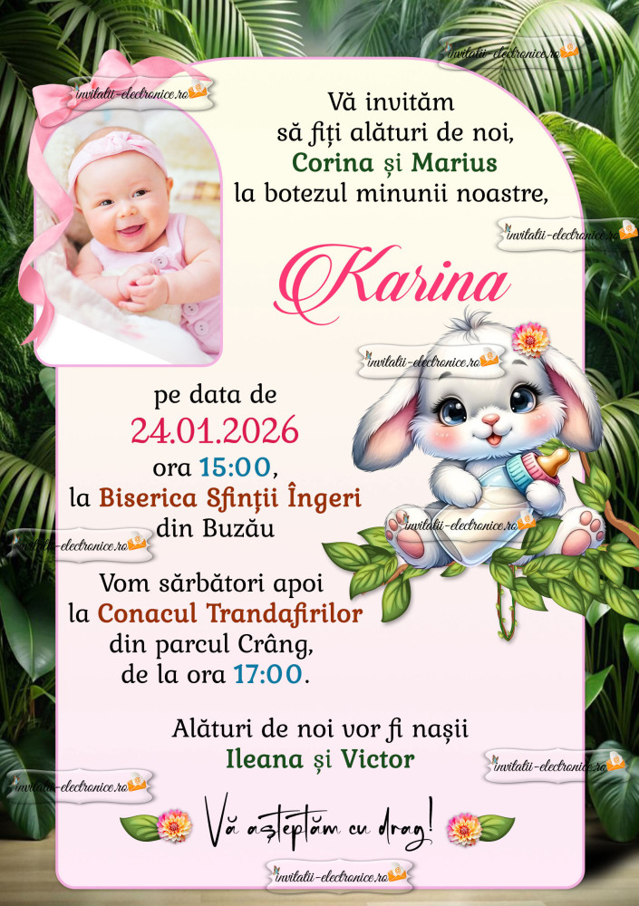 Invitatie electronica botez fetita