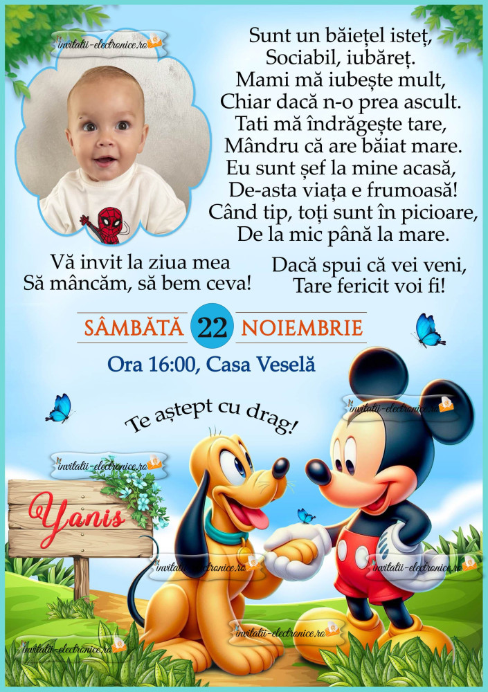 Invitatie la petrecere cu personaje Disney
