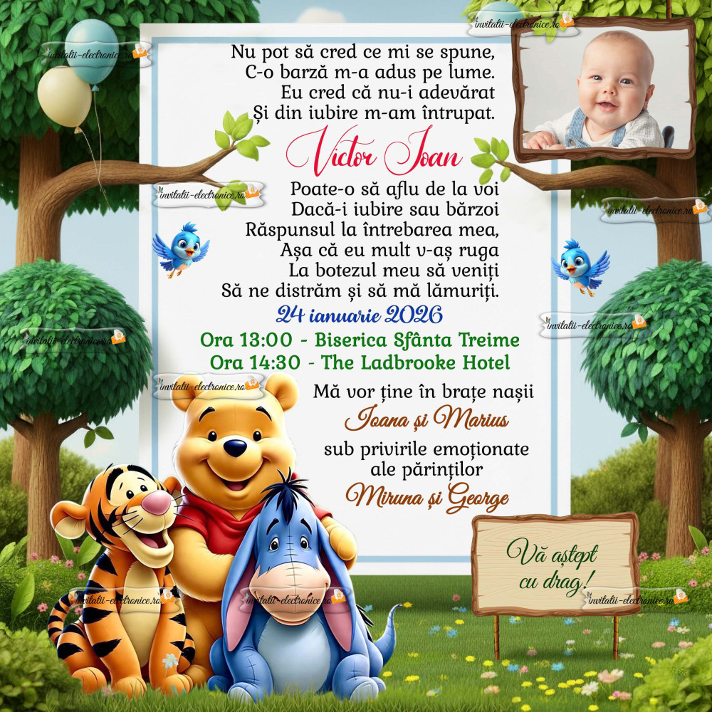 Invitatie de botez cu ursuletul Winnie