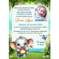 Invitatie la botez cu elefantel