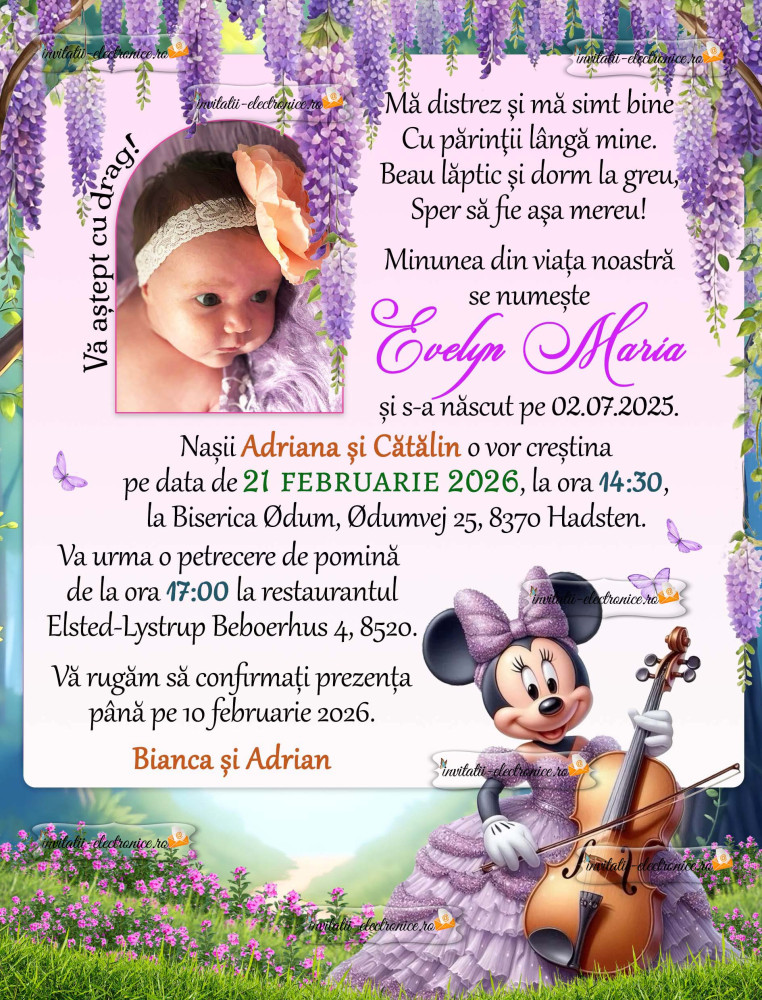 Invitatie botez cu Minnie