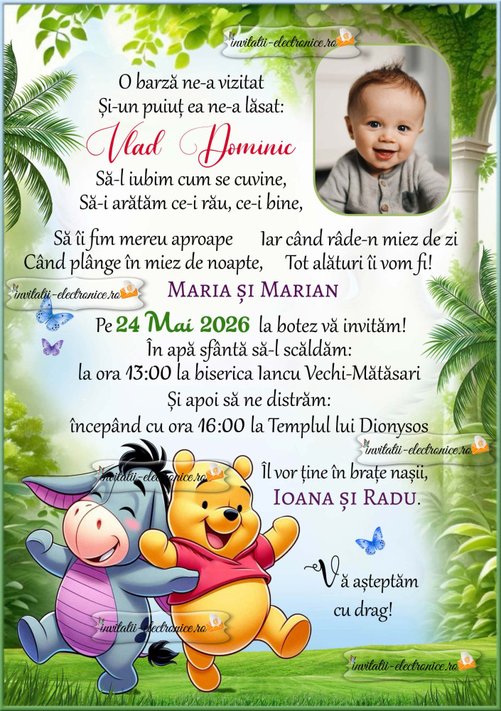 Invitatie la botez cu ursuletul Winnie