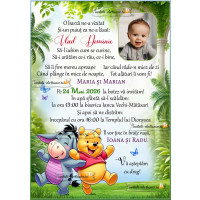 Invitatie la botez cu ursuletul Winnie