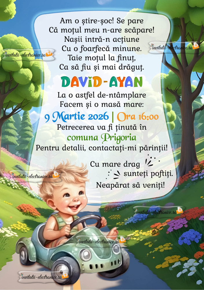 Invitatie la aniversare - baietel in masina